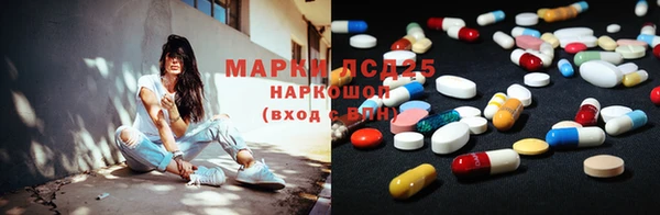 ешки Алексин